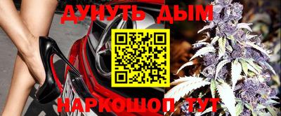 гашик Бузулук