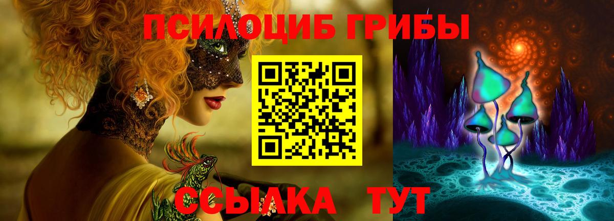 Тверь  Галлюциногенные грибы мухоморы  Псилоцибиновые грибы прущие грибы  Вход с VPN 